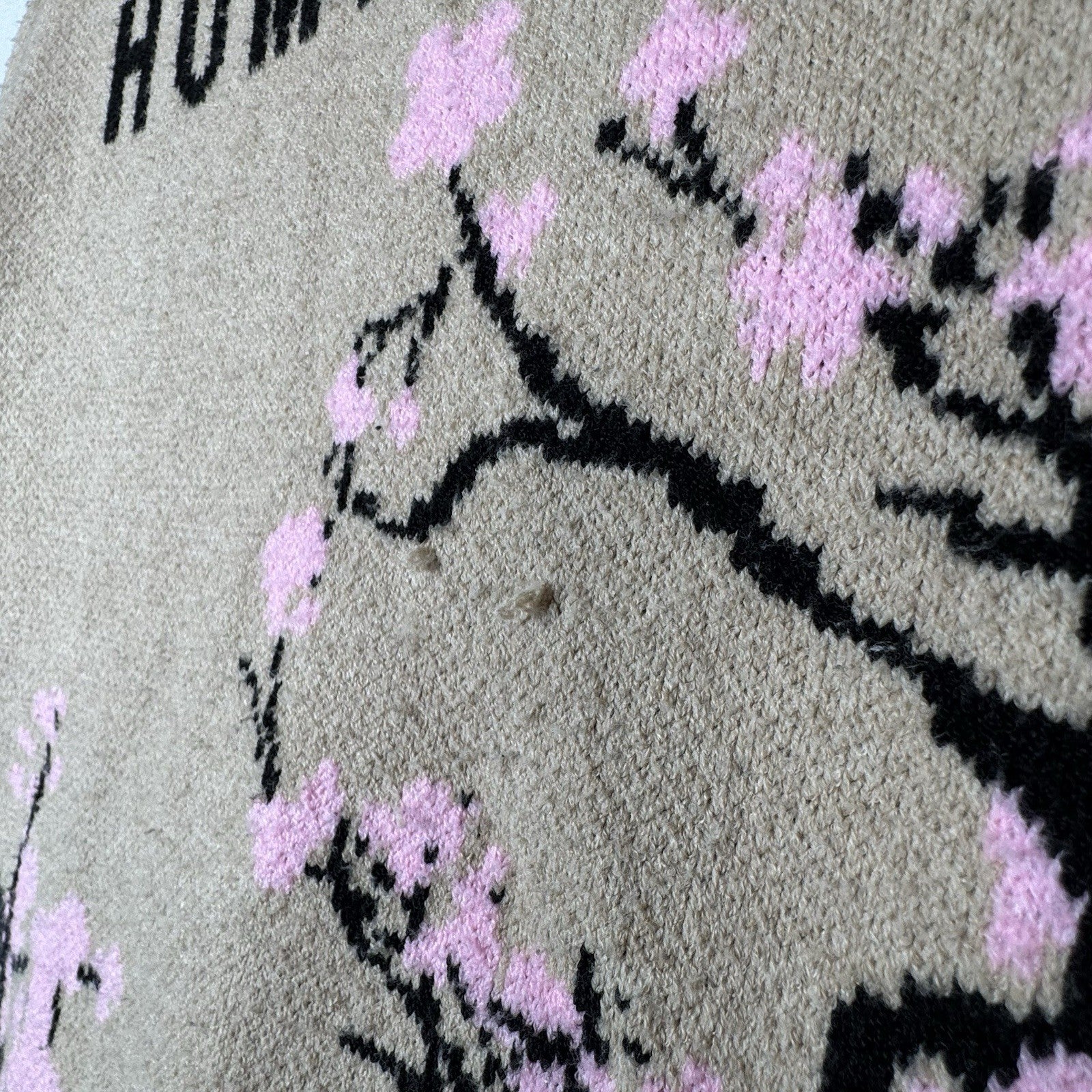 RGSTR Humanity Cherry Blossom Men’s Large Sweater Tokyo Kyoto Japan Osaka Cream