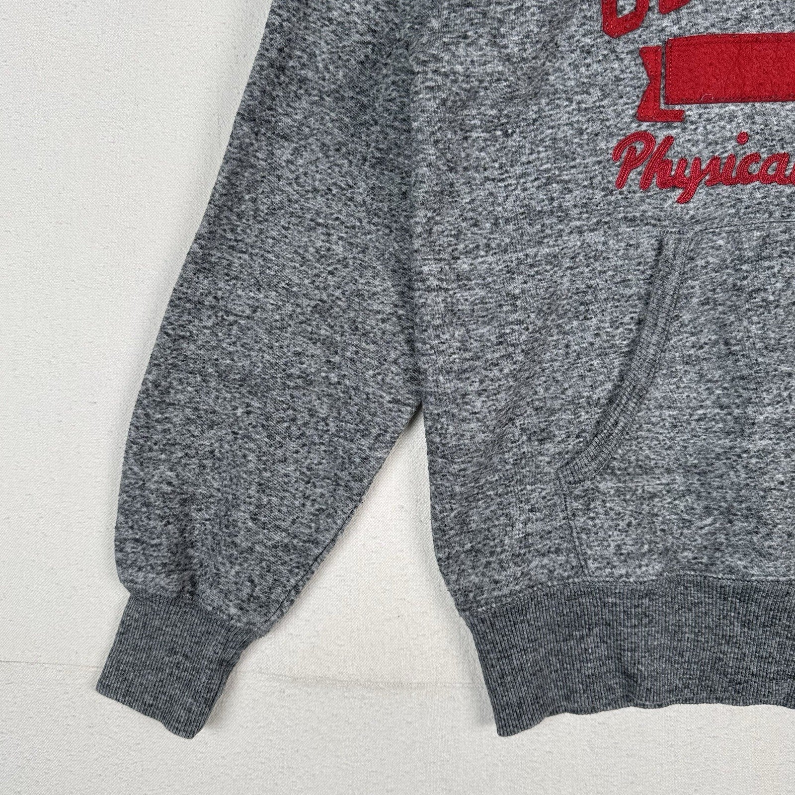 Champion Physical Education Sweatshirt Adult Small Gray Chain Stitch Hoodie