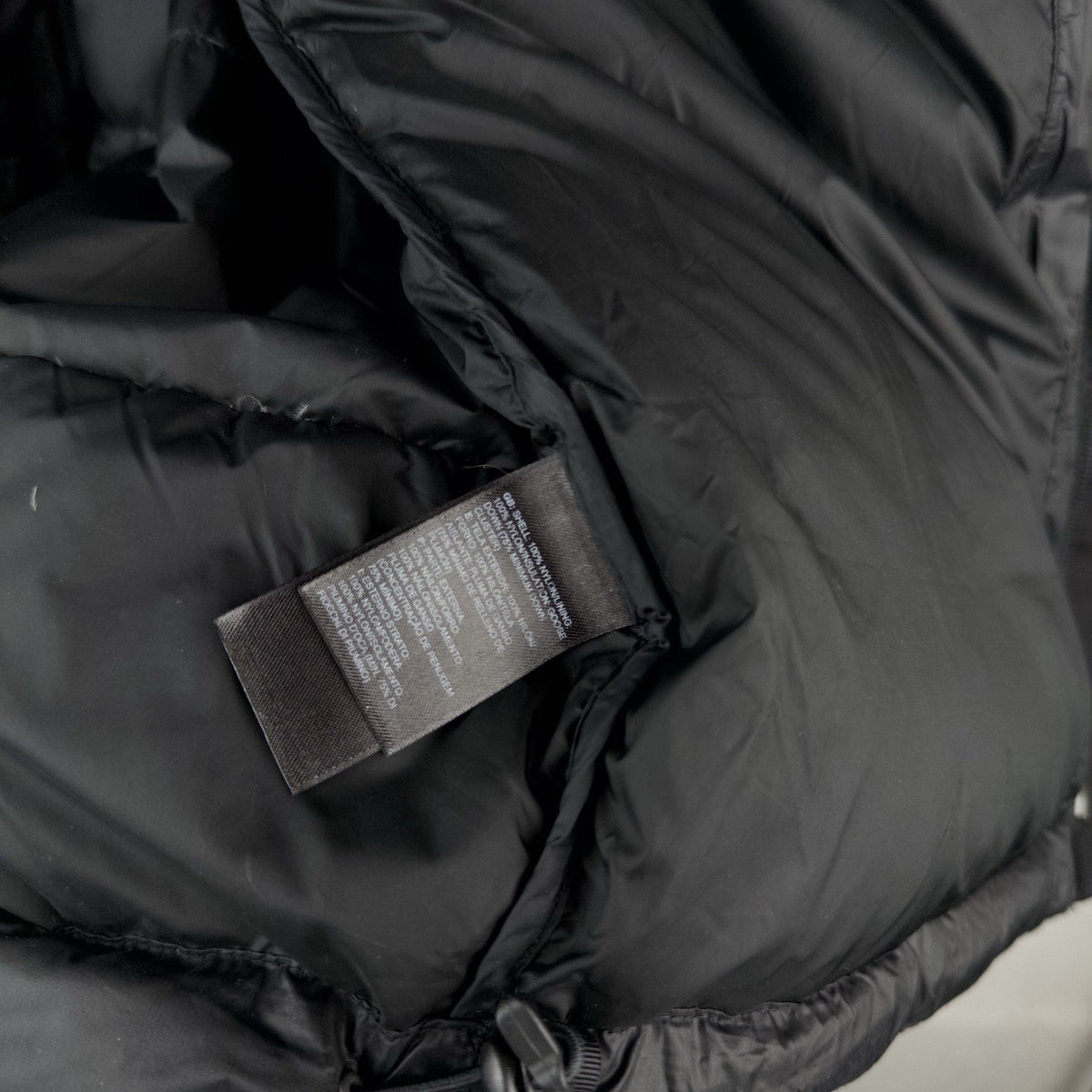 THE NORTH FACE Polar Journey Parka 550 Men’s L Black Hooded Ripstop