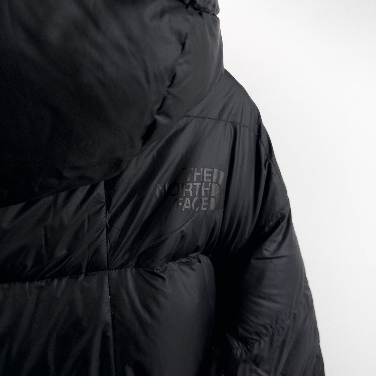 THE NORTH FACE Polar Journey Parka 550 Men’s L Black Hooded Ripstop